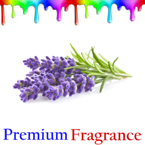 Лаванда цветок на белом фоне