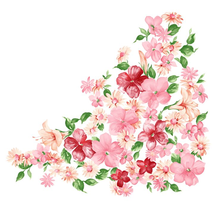 Цветочки на белом фоне