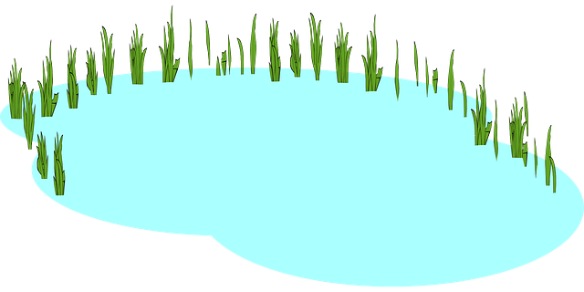 Болото на белом фоне