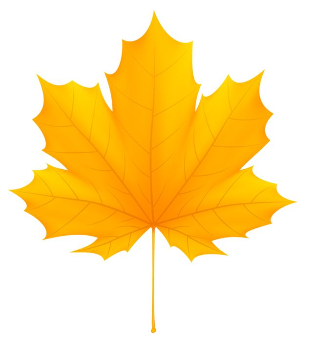 Осенние листочки