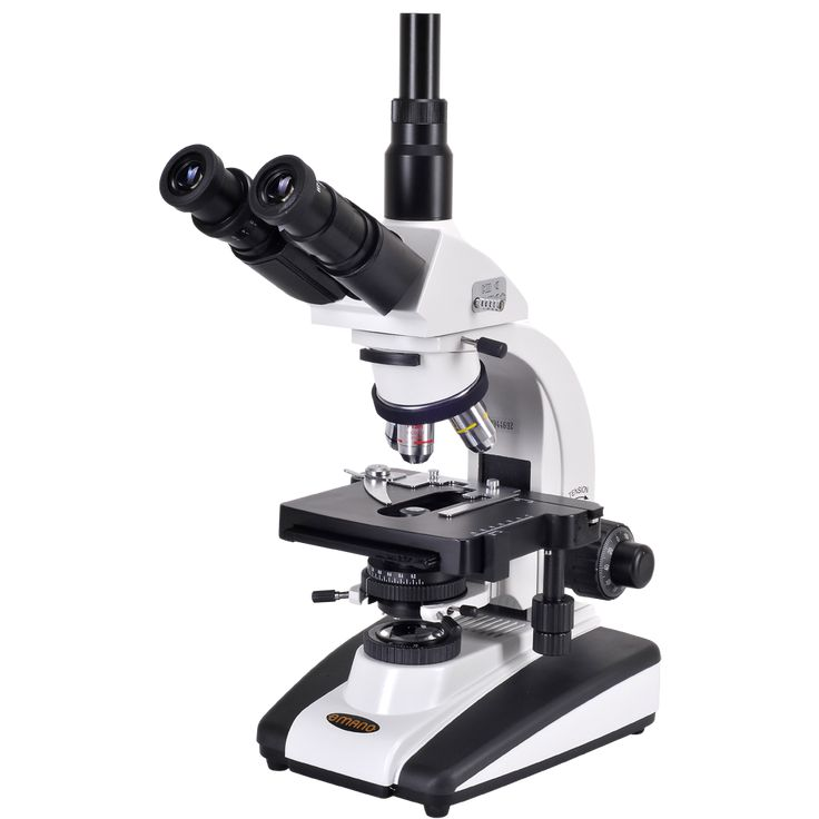 Microscope n300m