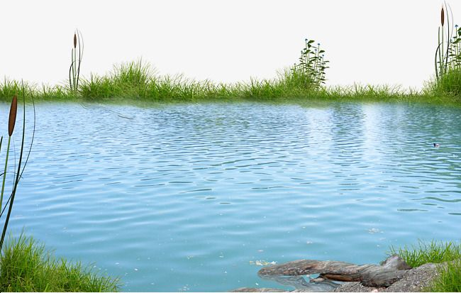 Чистый водоем