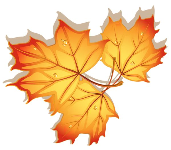 Осенний листок