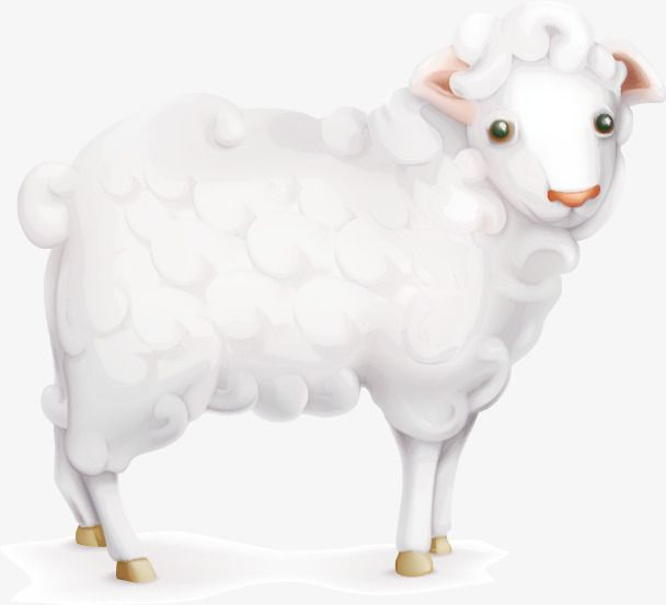 Баран на белом фоне