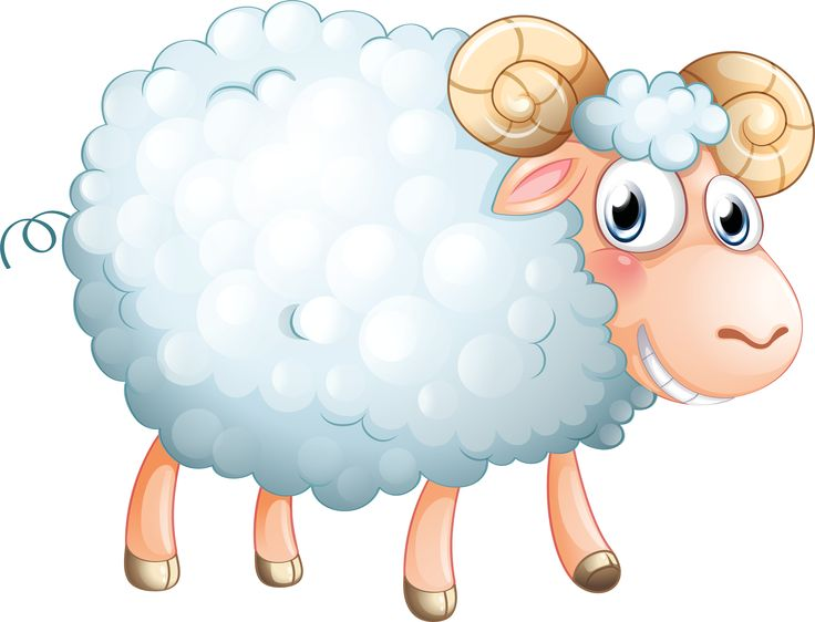 Овца картинка для детей