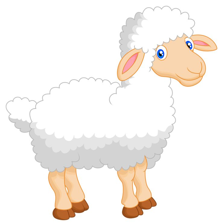 Овечки мультяшные