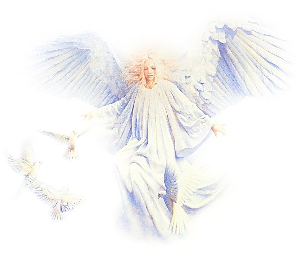 Ангел на белом фоне