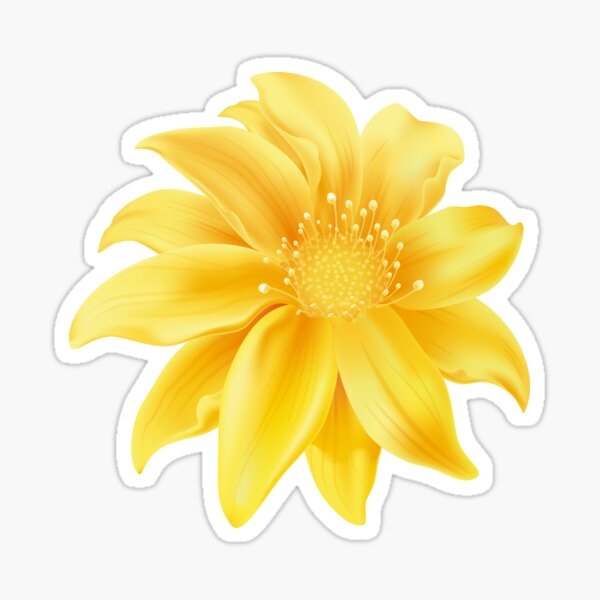 Цветы на прозрачном фоне