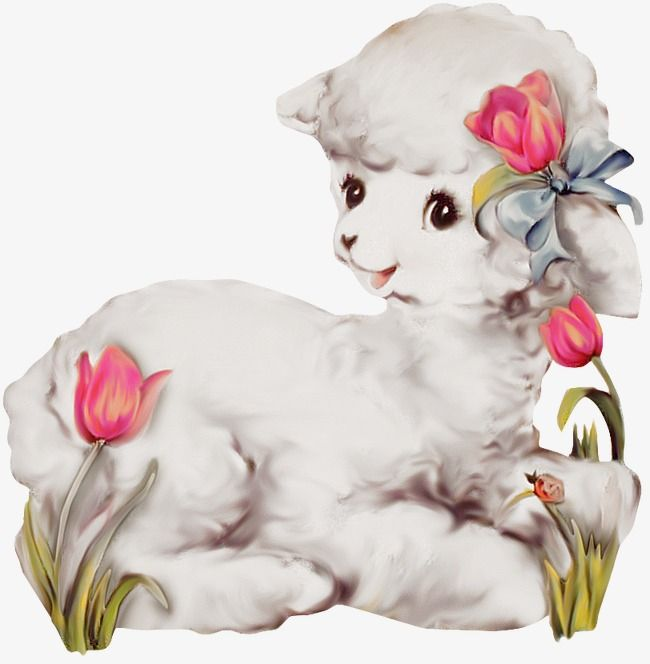 Овца клипарт на прозрачном фоне