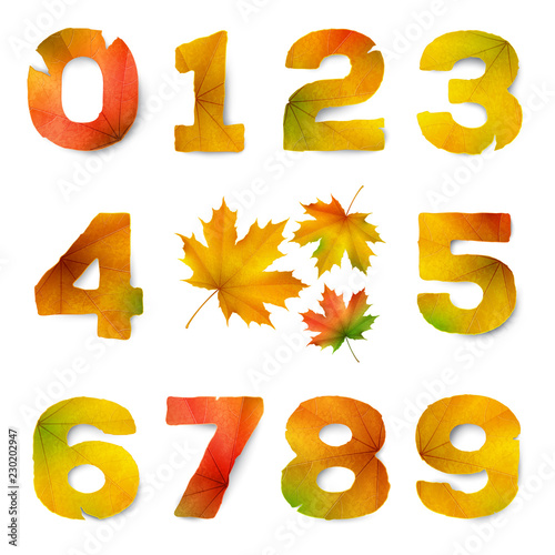 Цифры в стиле осень