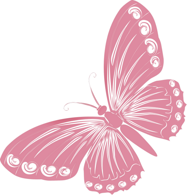 Красивые бабочки на прозрачном фоне