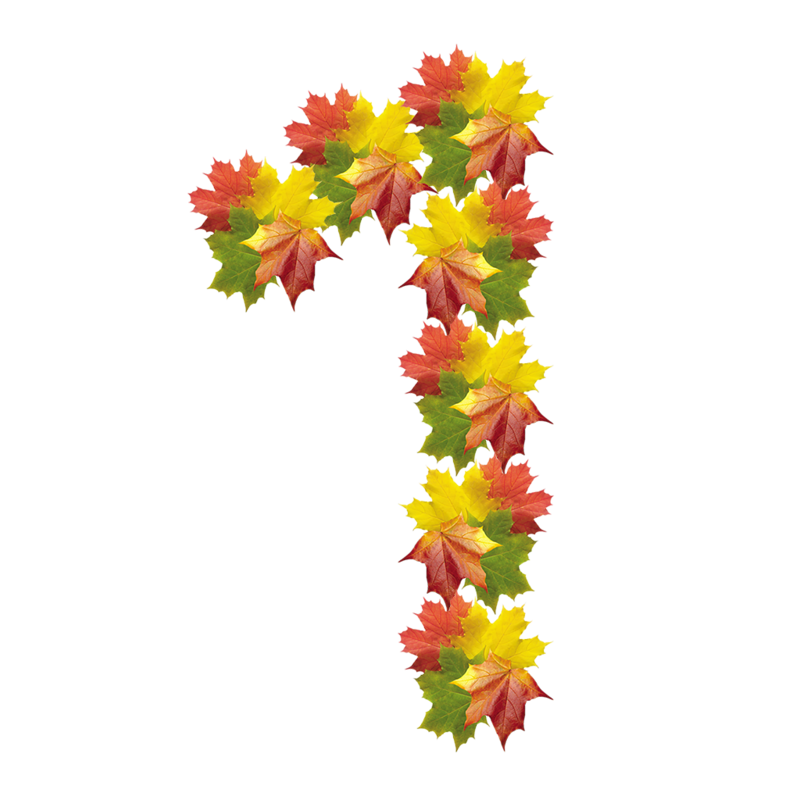 Цифра 4 из осенних листьев