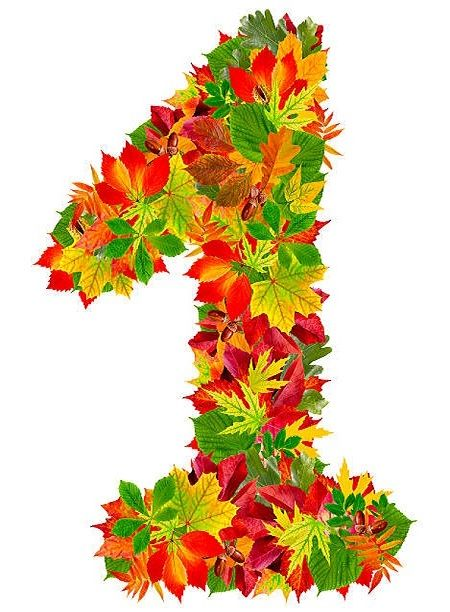 Осенние листочки с цифрами