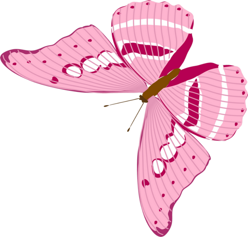 Красивые бабочки на прозрачном фоне