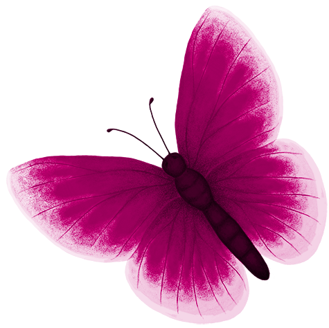 Рорзовый бабочки