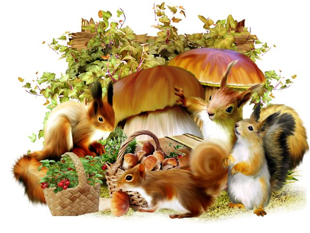 Сказочные Лесные животные