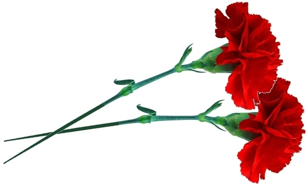 Гвоздики ПМГ