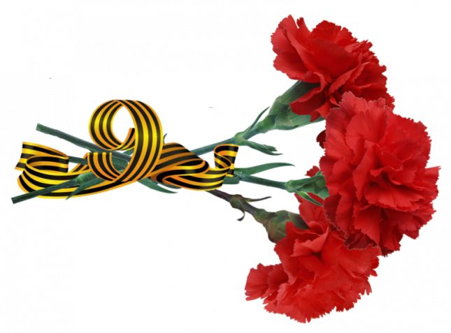 Гвоздики с георгиевской лентой на прозрачном фоне