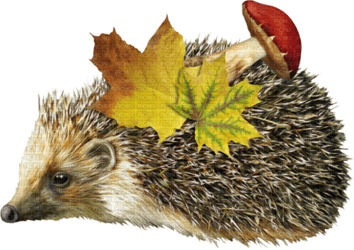 Ежик с листочками