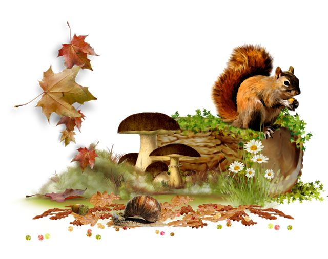 Осень клипарт