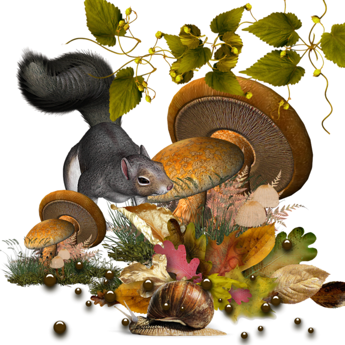 Зверюшки на прозрачном фоне