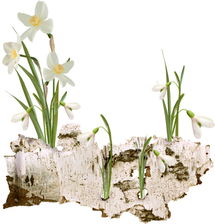 Весна клипарт