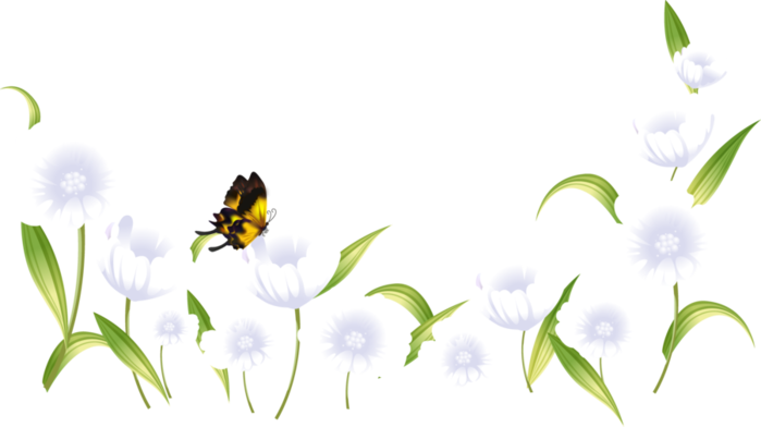 Весенние цветы на прозрачном фоне