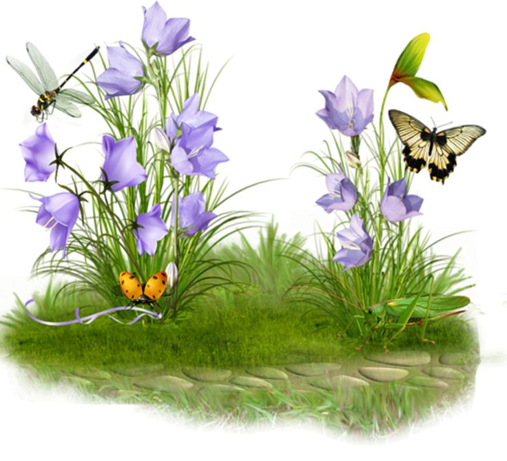 Трава с цветами на прозрачном фоне