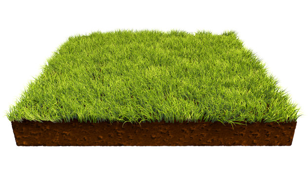 Квадратный кусок земли