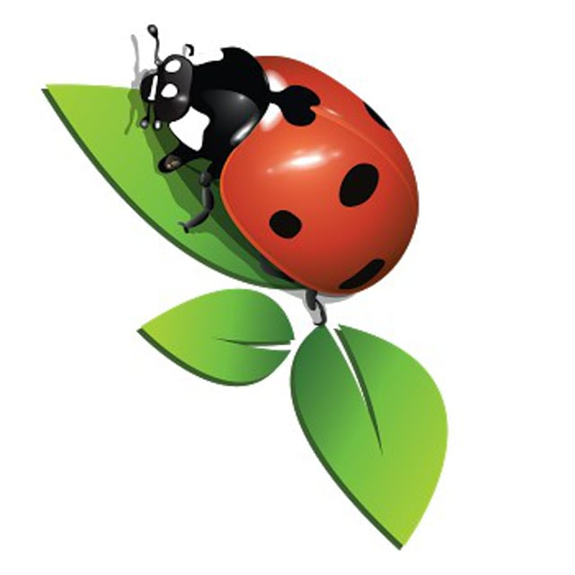 Божья коровка для детей