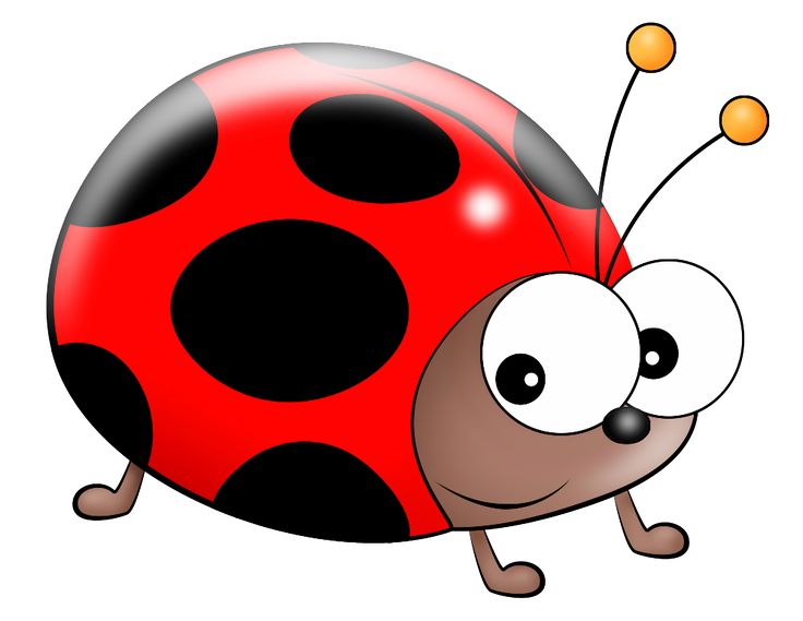 Божьи коровки