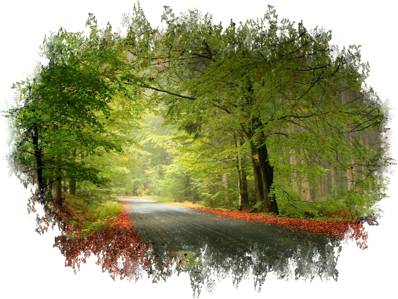 В прозрачном на природе