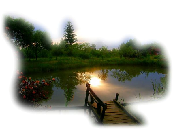 Анимация природа на прозрачном фоне