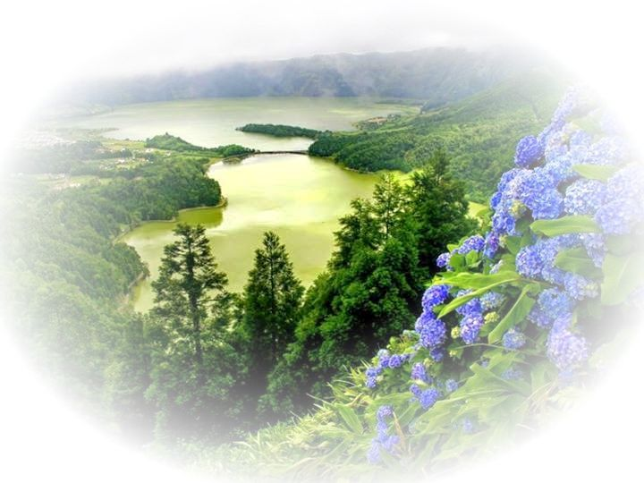 Весенний пейзаж на прозрачном фоне