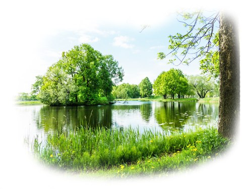 Природа на прозрачном фоне для фотошопа