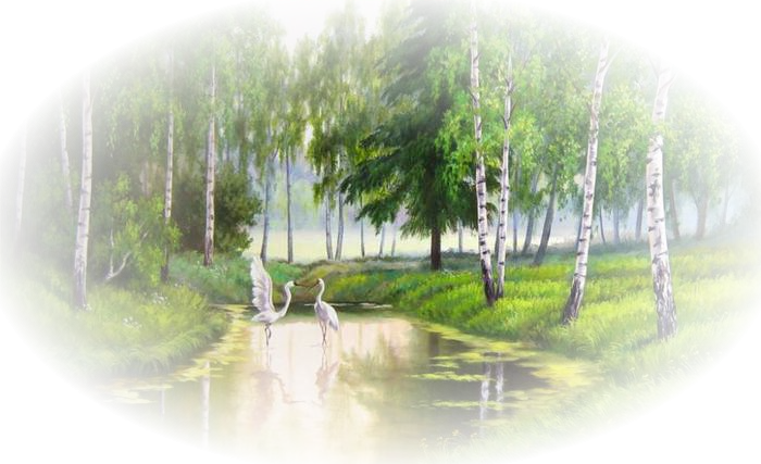 Береза на прозрачном фоне