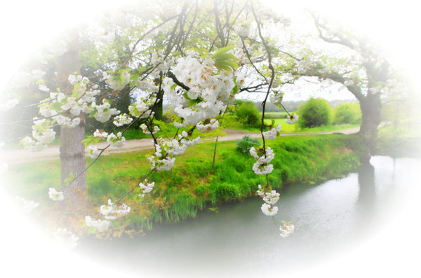 Весна клипарт