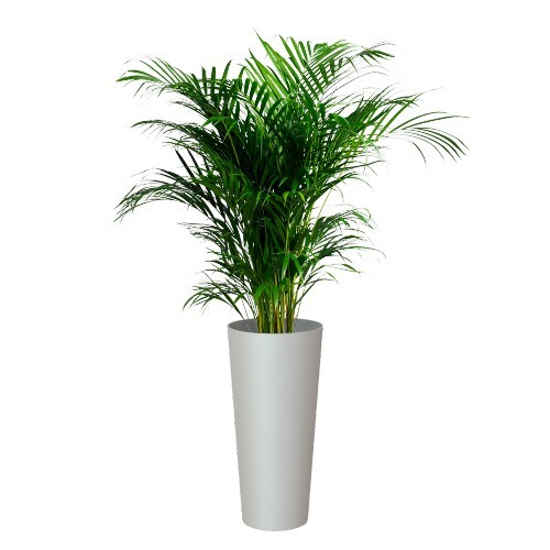 Артевази Порто кашпо