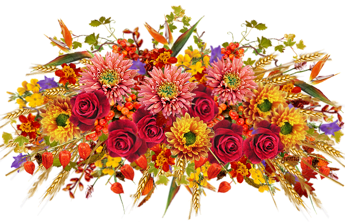 Цветочные композиции на прозрачном фоне