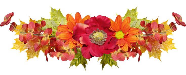 Цветочные композиции на прозрачном фоне