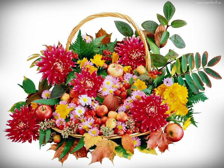 Красивые осенние букеты цветов