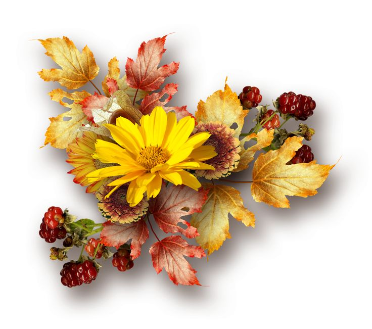 Букет осенних листьев