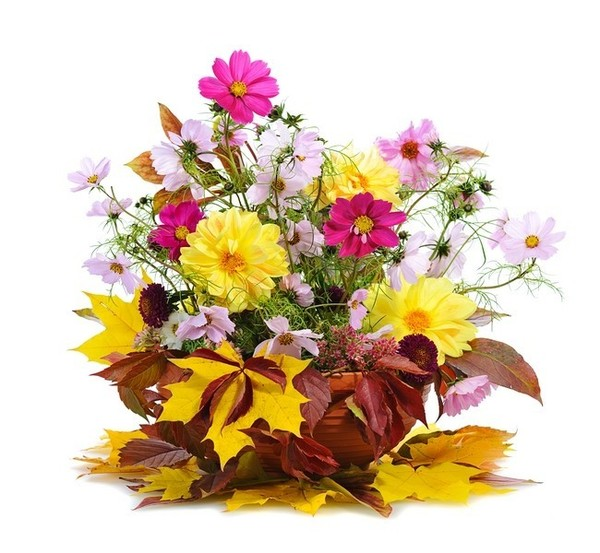 Красивые осенние букеты цветов