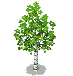 РБЕРЕЗА на прозрачносм ФОГЕ