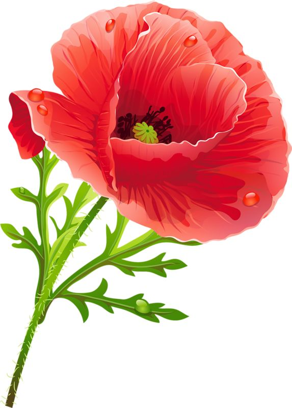 Мак мультяшный