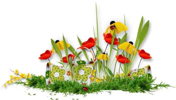 Летний клипарт на прозрачном фоне