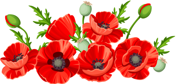 Мак рисунок для детей