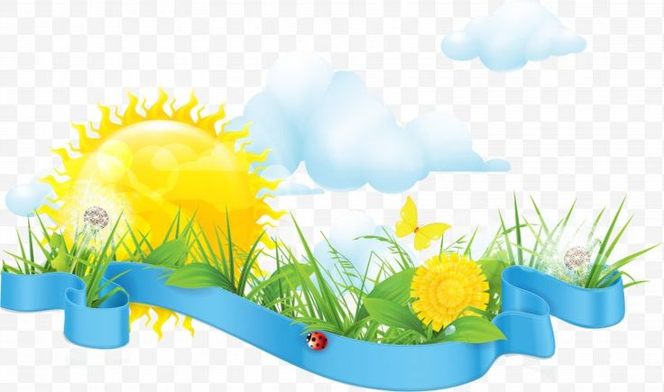 Летние картинки без фона