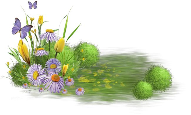 Сказочные цветы на прозрачном фоне