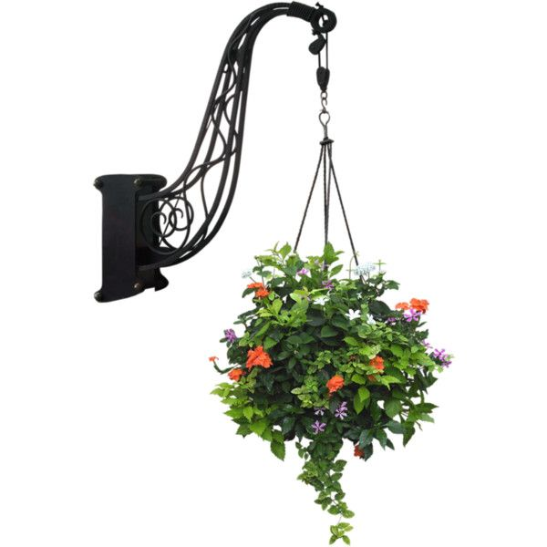Композиции в подвесных кашпо